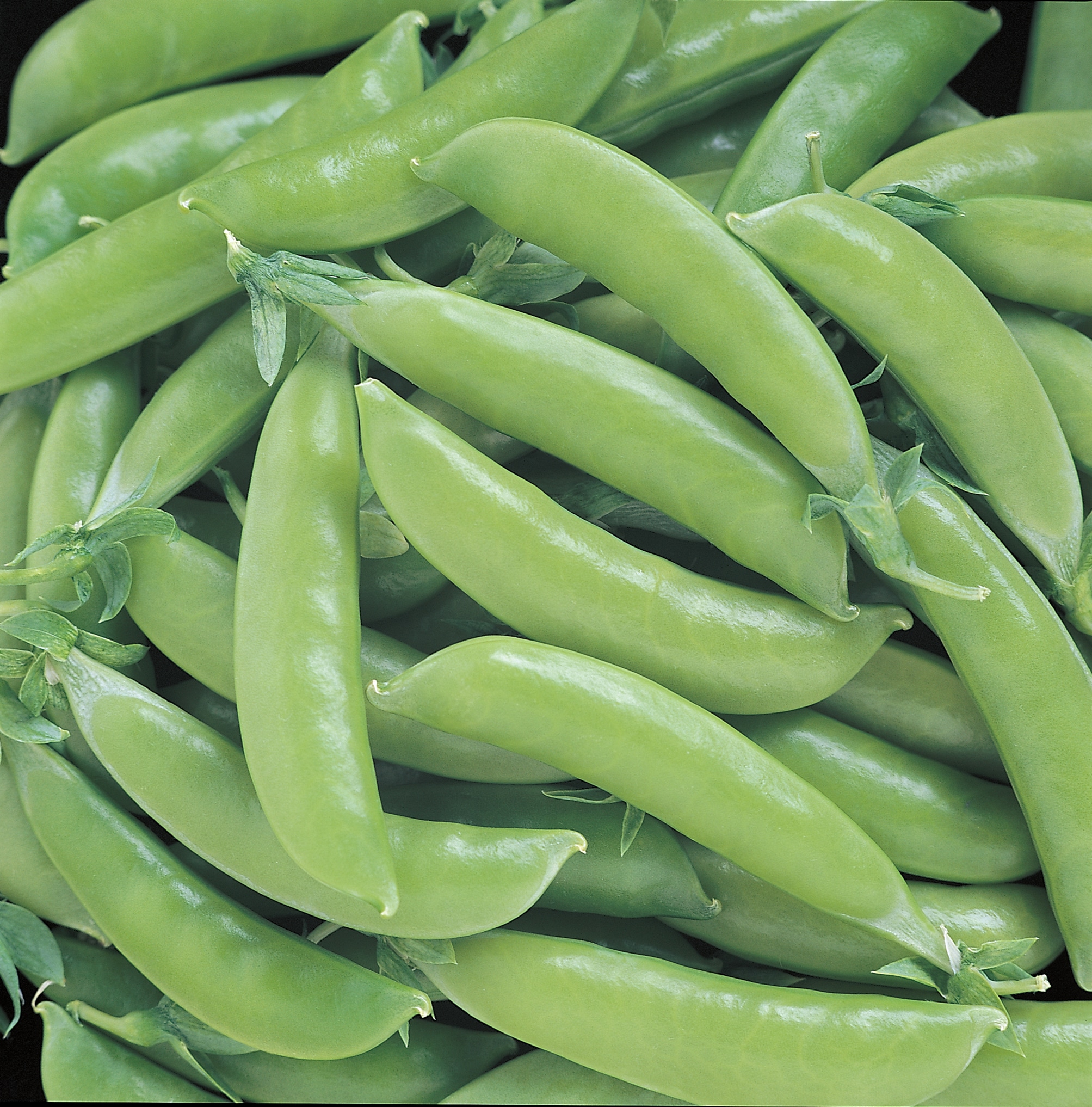 Snap Peas